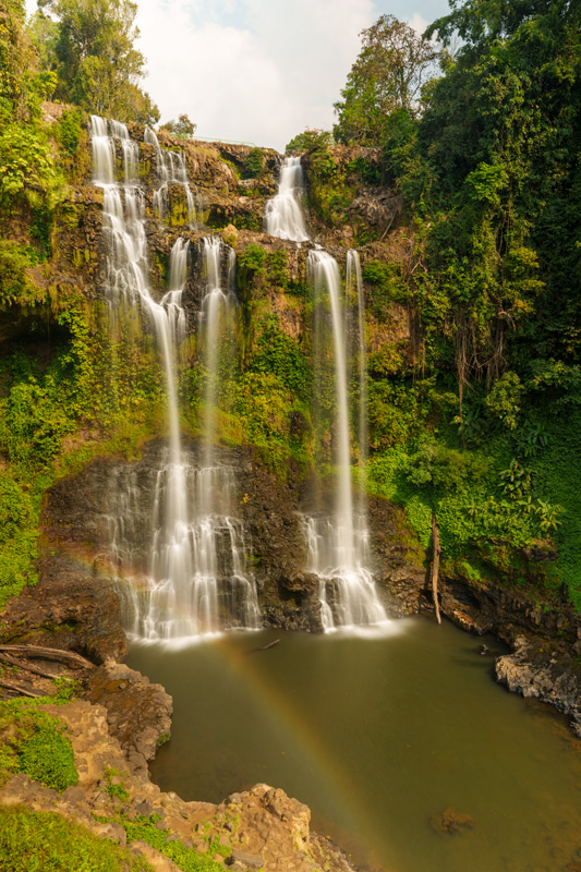 Tad-Gneuang-533x800