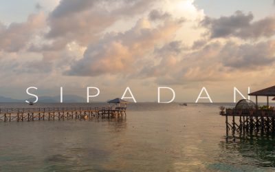 Sipadan Island 5D4N Tour – A Guide To Diving Sipadan Island